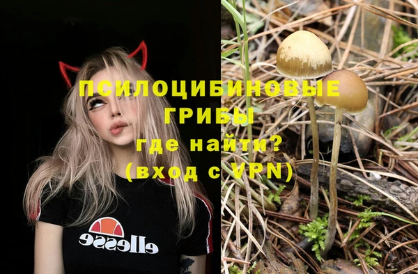 первитин Белоозёрский