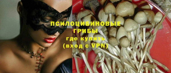первитин Белоозёрский